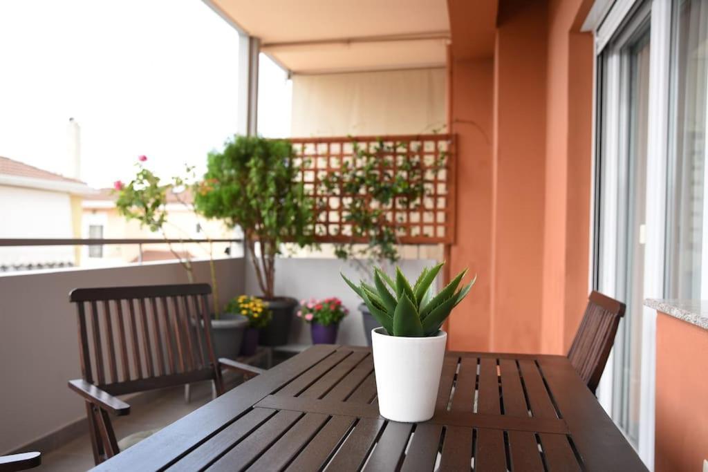 Apartment Serenity And Comfort *